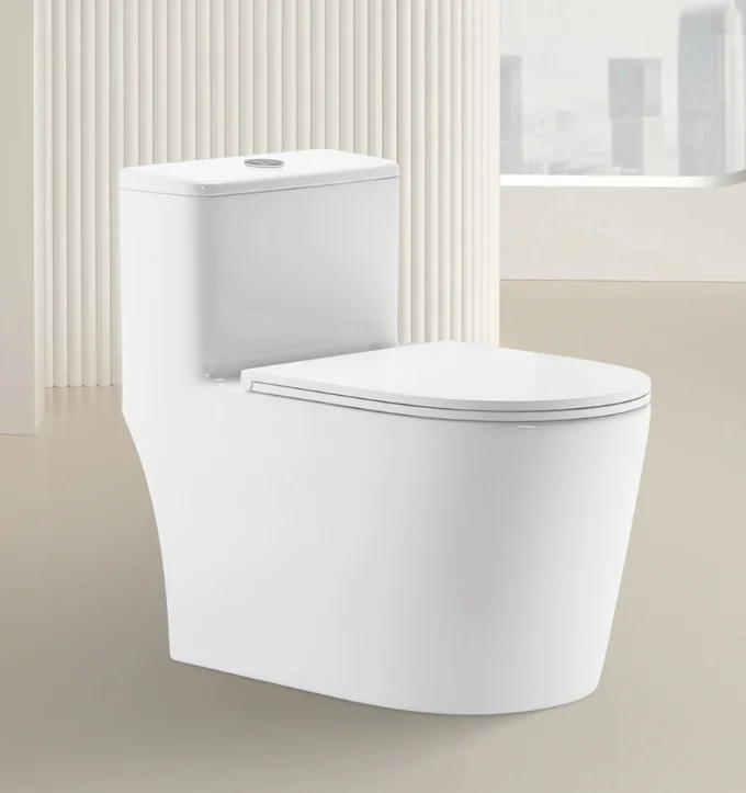 Hot-Selling modern One-Piece Siphonic Ceramic Toilet Dual-Flush Floor Mounted Hotels Bathrooms Villas-300mm S-trap Roughing-in