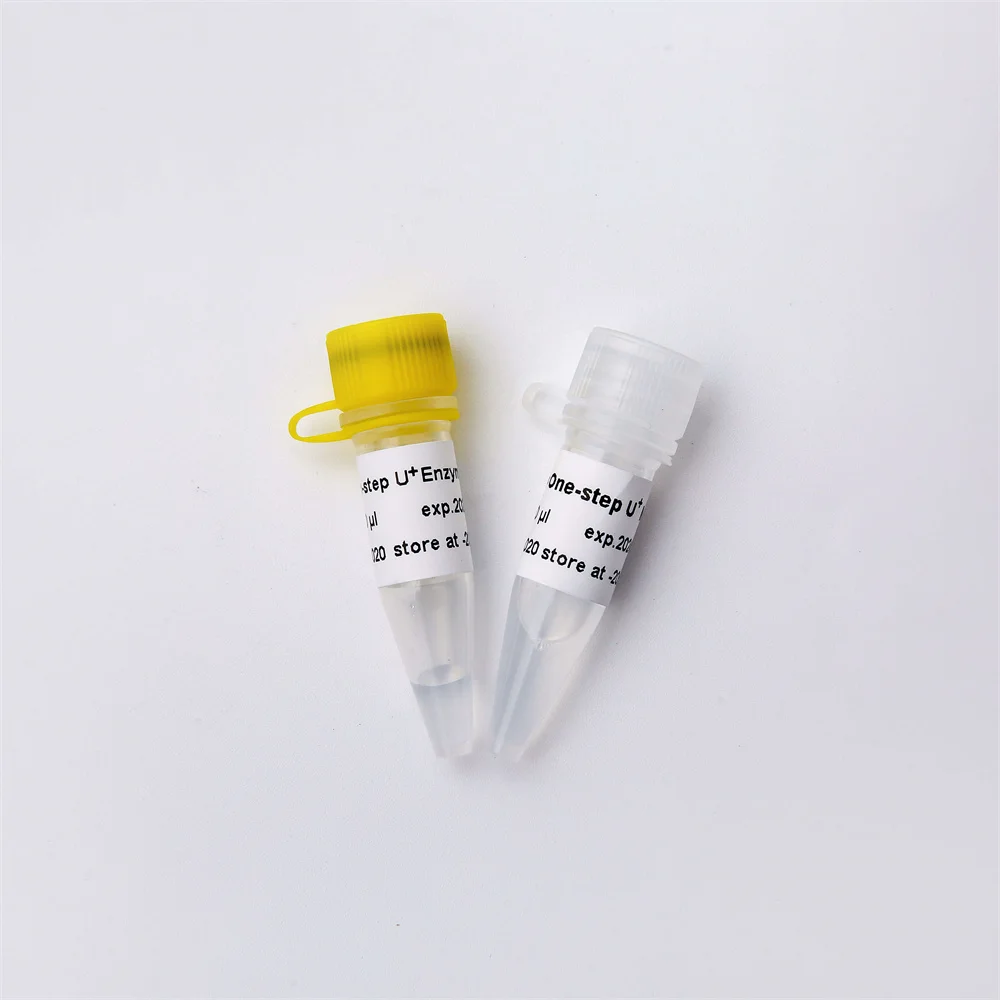 GDSBIO Highly efficient and stable One-step Probe RT-qPCR Kit V3 V5011