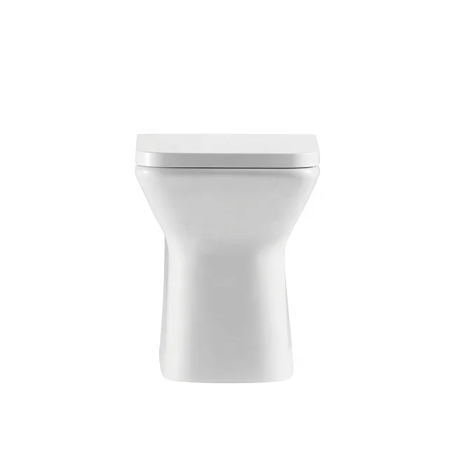 ANBI Popular Floor Standing Back to Wall concealed WC Toilet Bathroom Design Toilet