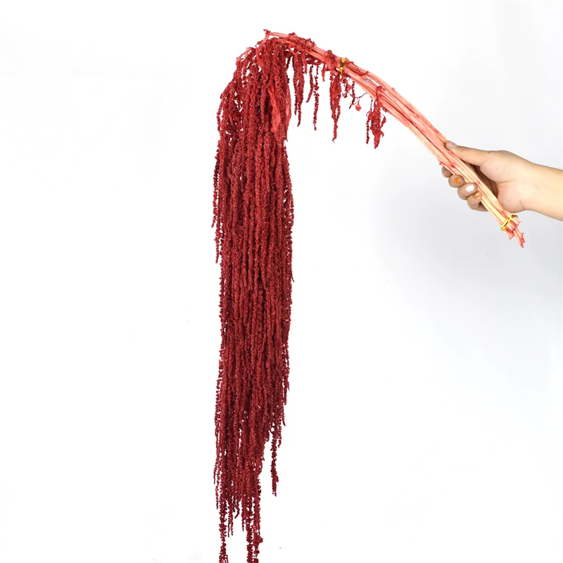 High quality Natural Dried Amaranth Preserved Hanging Amaranthus For Wedding Decoration