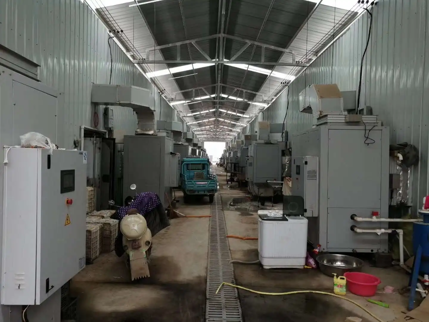 All in one Temperature Humidity and CO2 control Plant Equipment for Mushroom