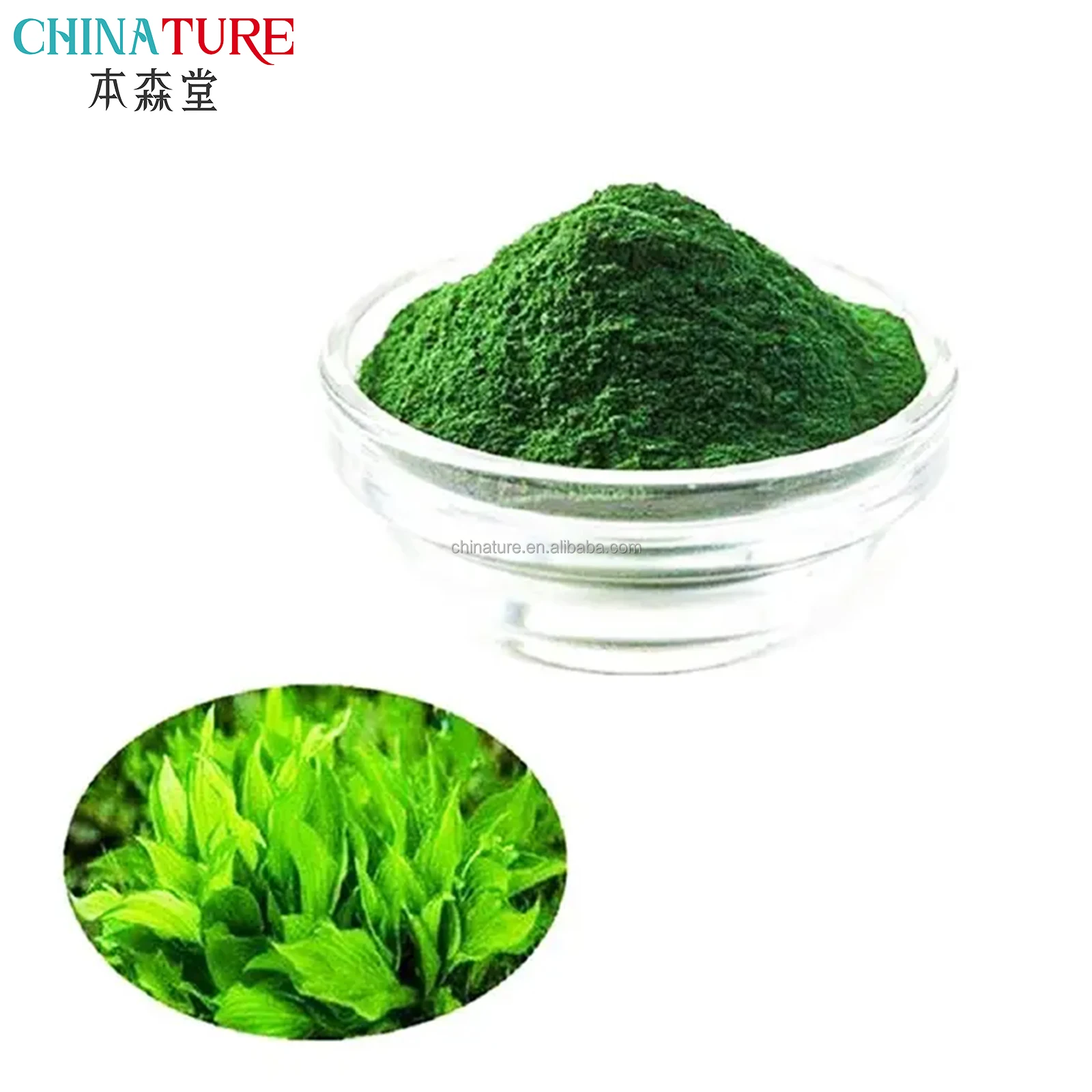 Improving Immunity Lower Blood Lopids Functional Goods Proteins Raw Materials Spirulina Extract Natural Ingredient