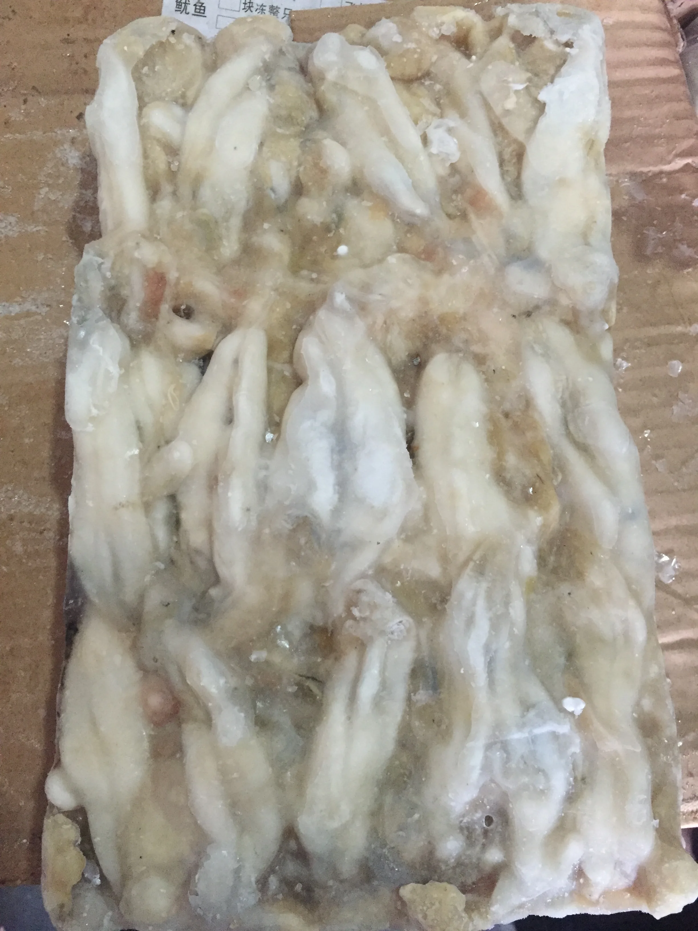 Japanese flying squid roe