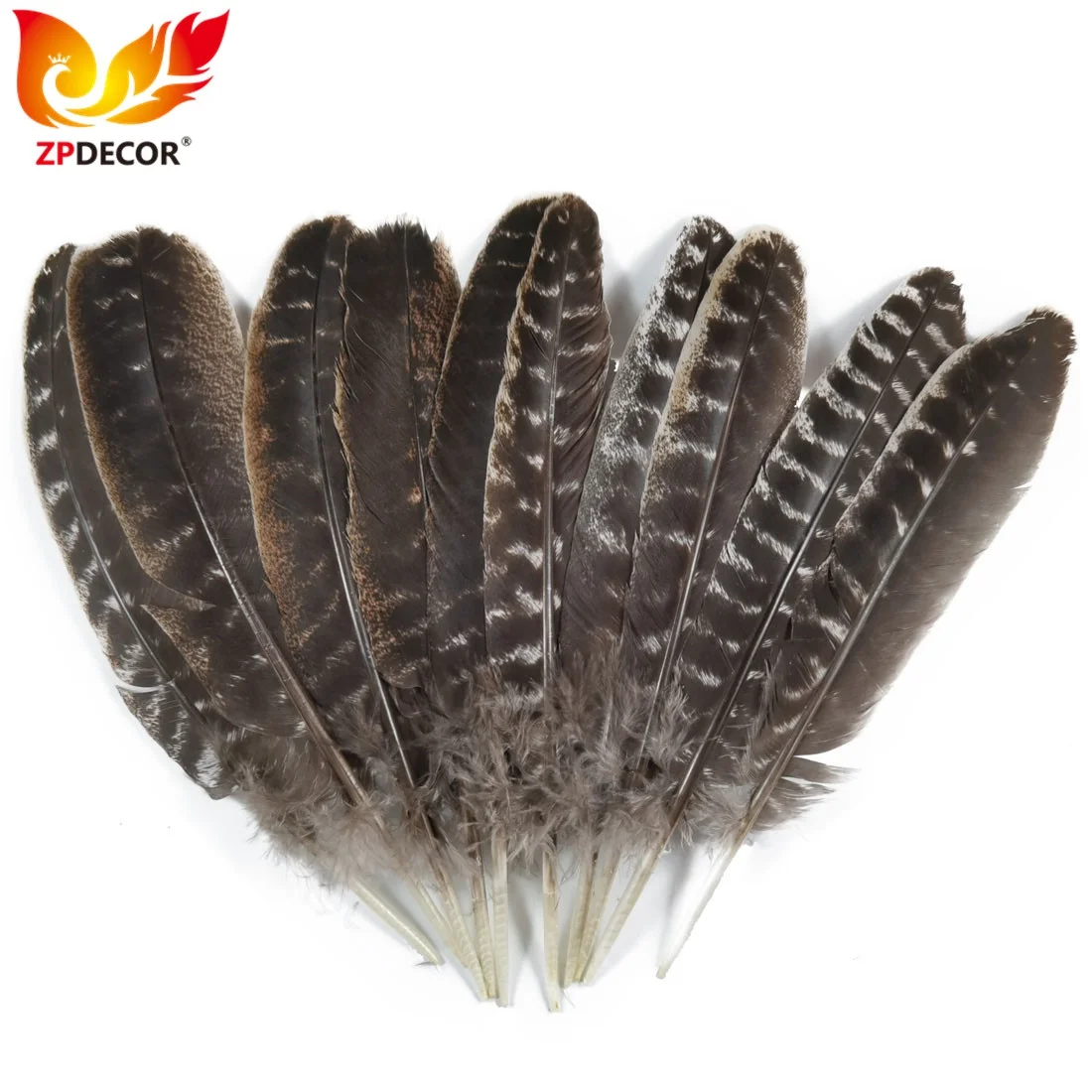 ZPDECOR Factory Wholesale Stock Natural Wild Turkey Rounds Secondary Wing Quill Feathers for Carnival Customes