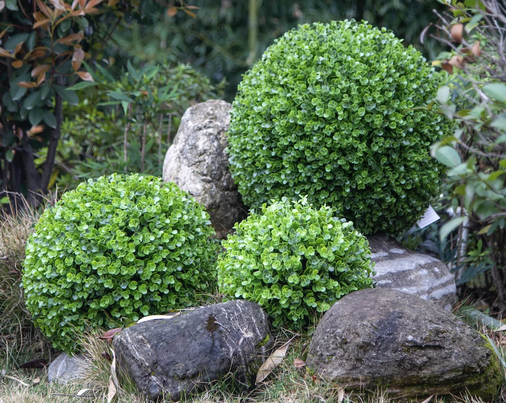 Xunmengyuan Direct Selling Hot Sale Pe Artificial Spring Green Eucalyptus Ball- 30cm for Indoor, Front Porch, Office Decor