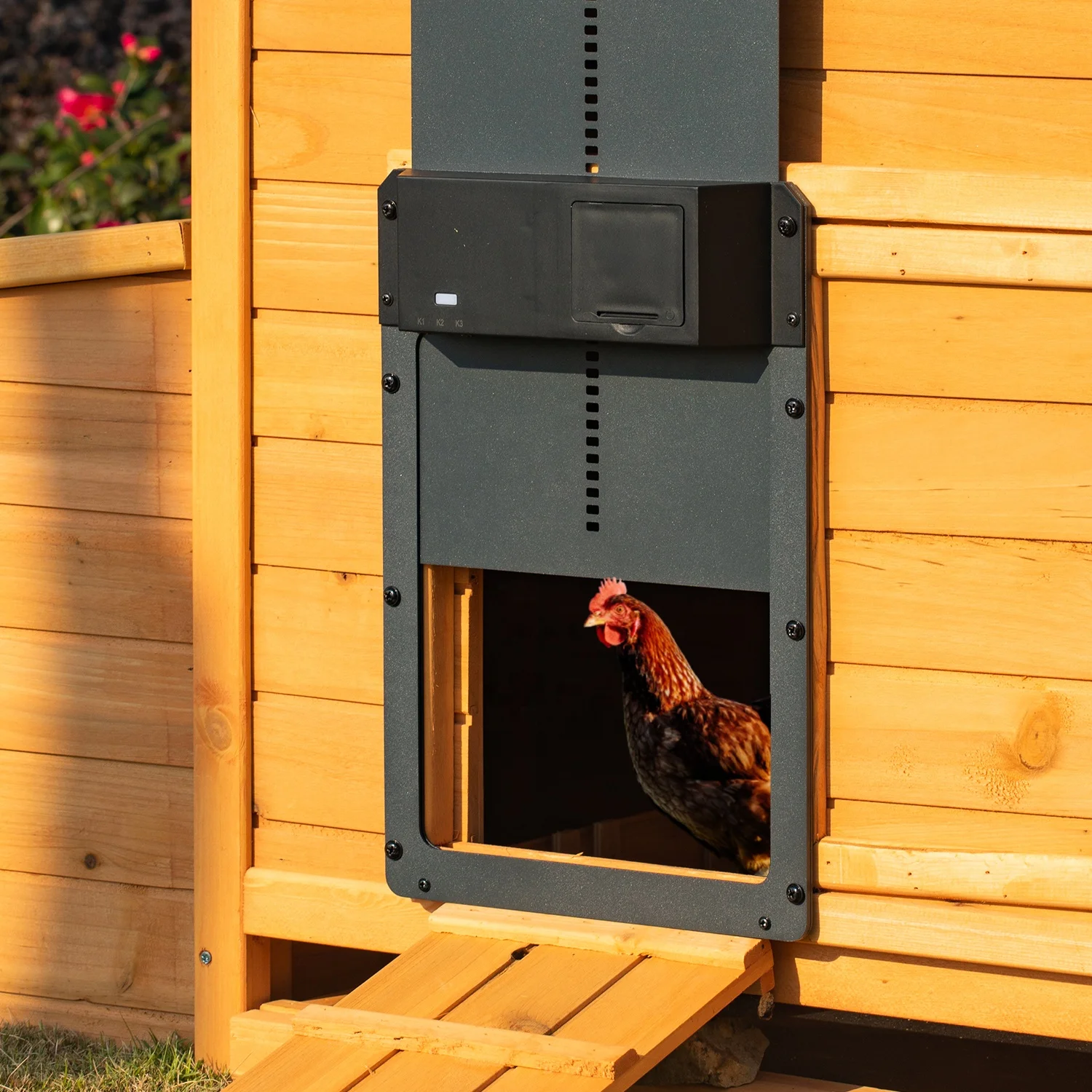 Распродажа, автоматическая дверь для курятника, алюминиевая автоматическая дверь для курятника, автоматическая дверь для курятника на солнечной батарее