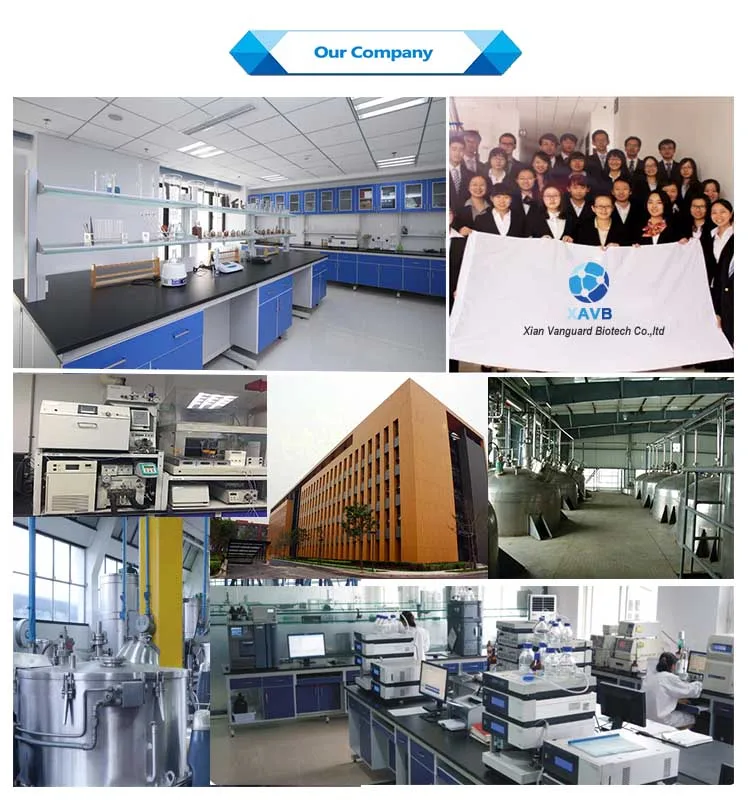 Vitamin B12 Supplements Factory High Quality 99% Methylcobalamin Vitamin B12