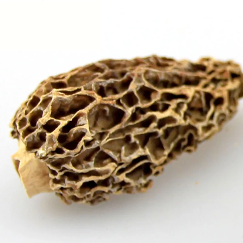 Northeast manufacturers direct sales of pure natural boutique morels, affordable