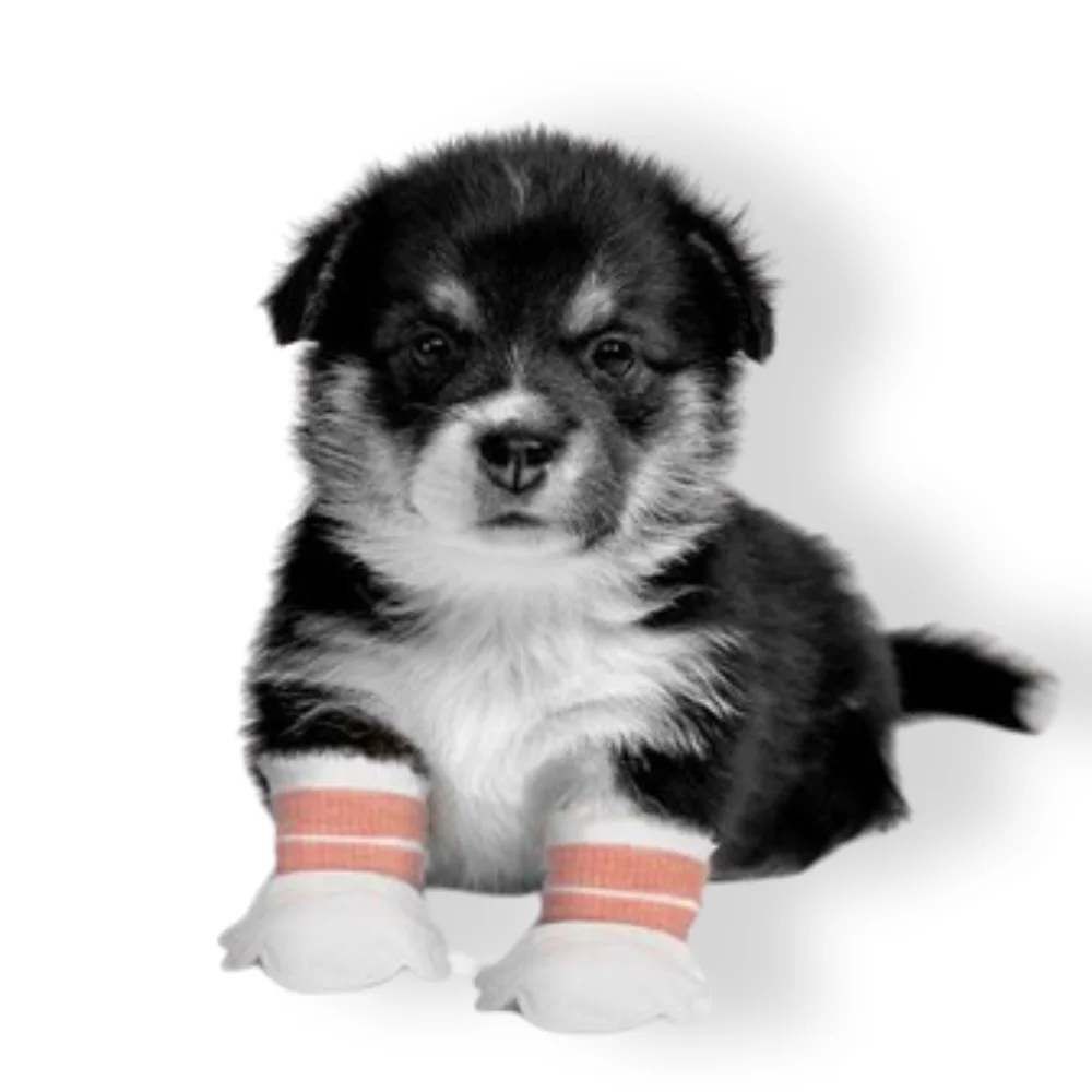 Outdoor walking adjustable breathable straps socks disposable waterproof pet paw protection dog foot covers shoes boots