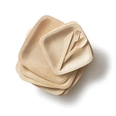 Biodegradable Tableware Dishes Bamboo Plates Dinnerware Sets Disposable Bamboo FruitSpoon/fork/knife/chopsticks Kit/Kit