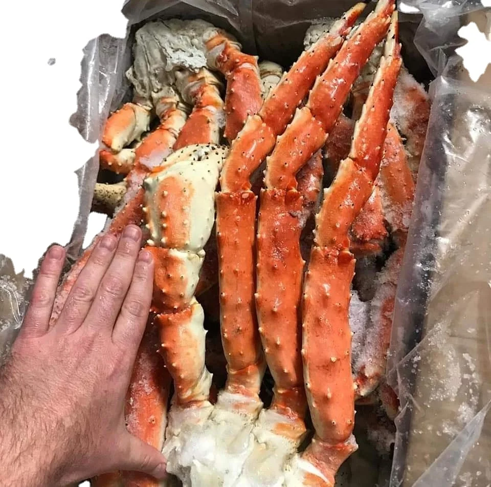 King Crab Red King Crab Live and Frozen Red King Crab for Sale IQF Frozen from ZA 12 Kg 10kg/ctn Packaging with 18 Shelf Life