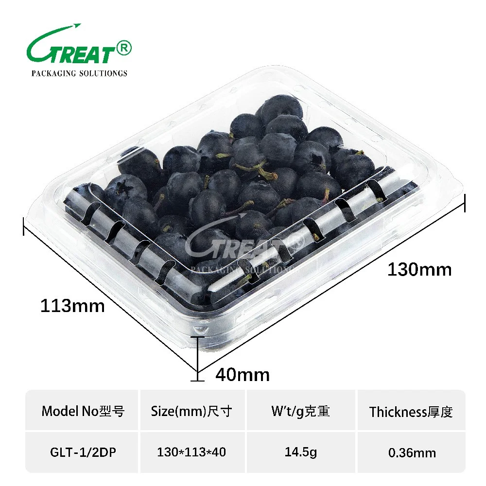 175 Gram  Food Grade Recyclable PET Plastic Punnets Blueberry Fruit Clamshell Container