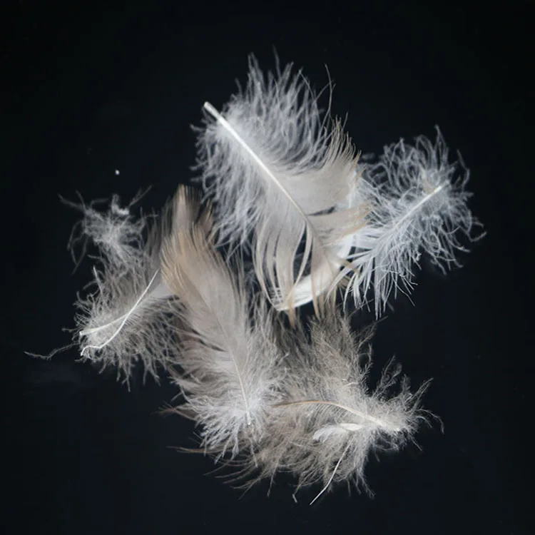High quality and cheap grey goose/duck feather price from china