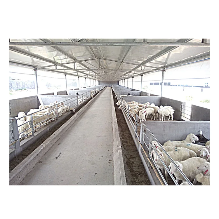 Дешевый новый дизайн сборная легкая стальная конструкция бычья ферма здание Овечья сарая лошадь стабильная для