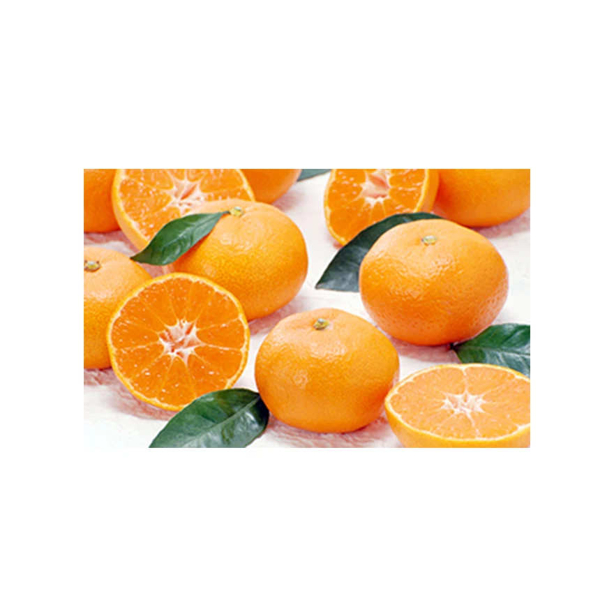 Японская оптовая продажа, линейка сельскохозяйственных продуктов хорошего качества