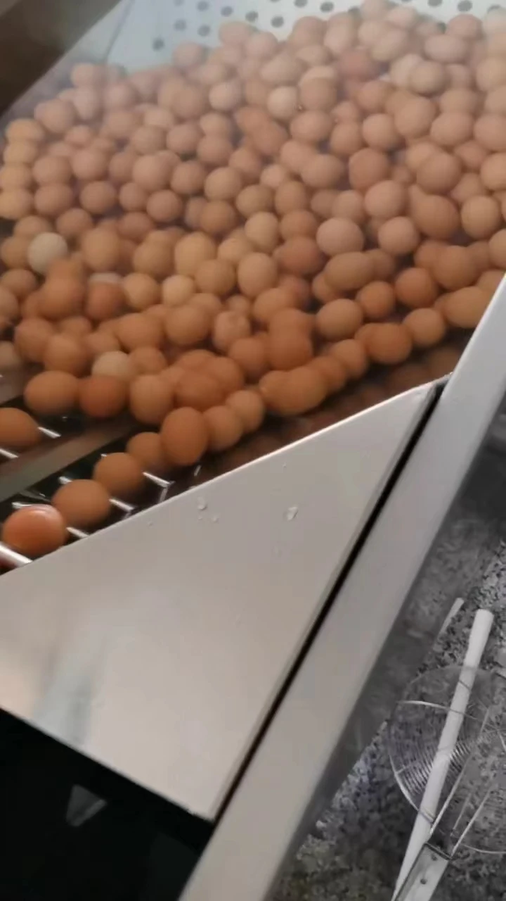 WANLI GROUP 304 Stainless Steel Egg Shell Breaking Peeling Egg Knocking Breaker White Yolk Separator Machine