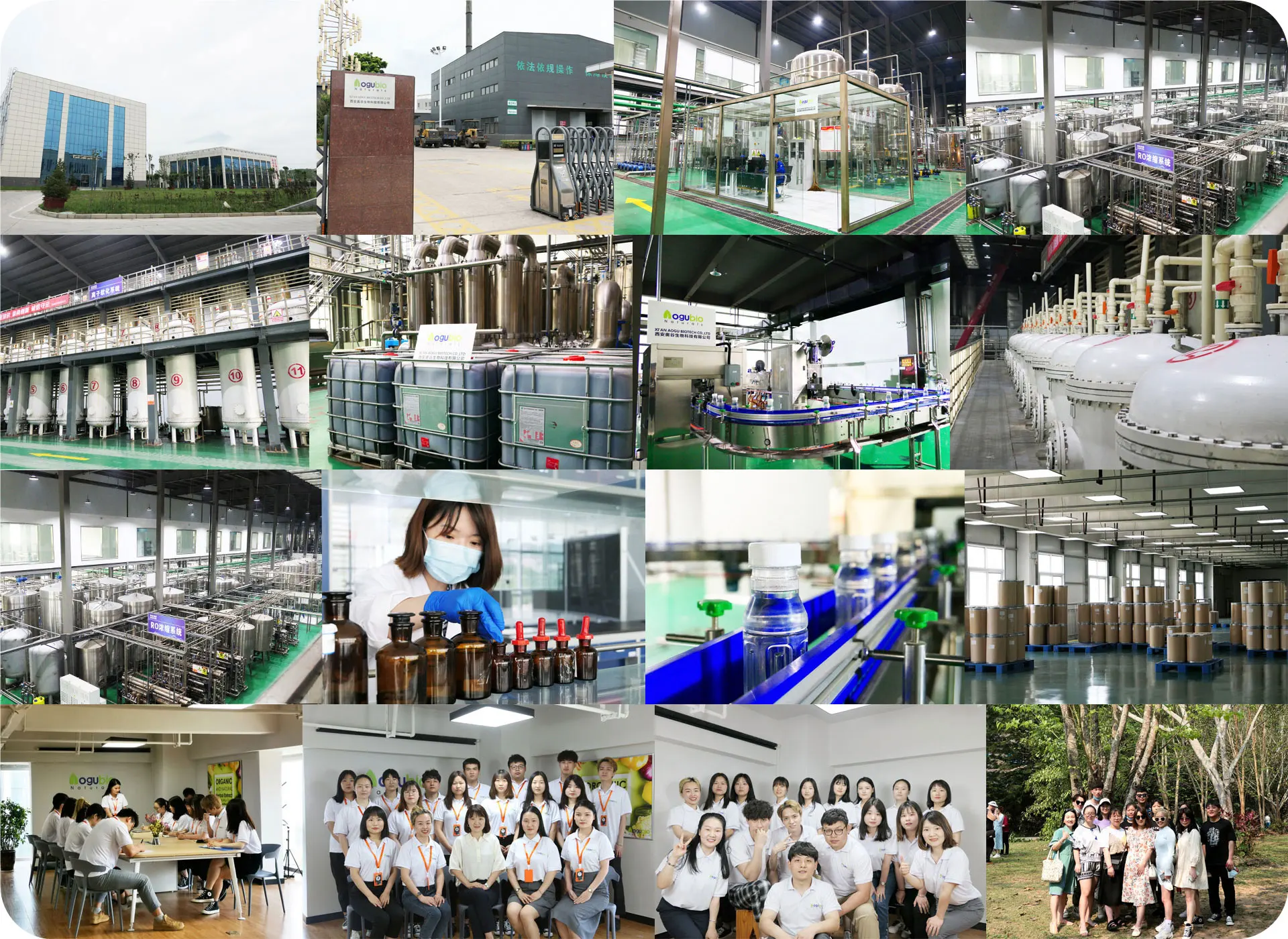New Product Food Grade Corn Flour Free Sample Corn Extract Corn Flour Powder