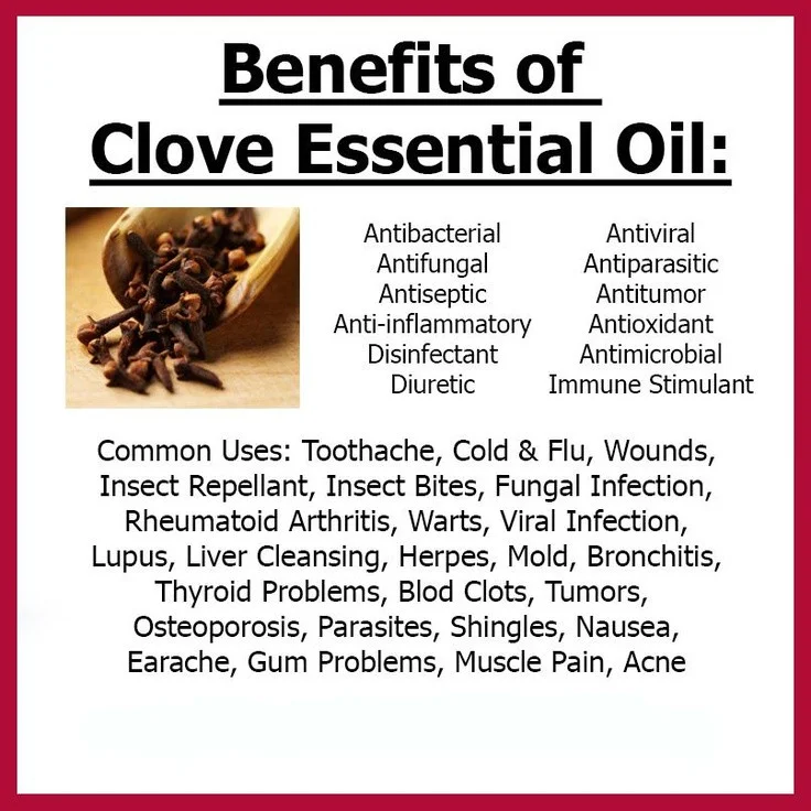 100% Pure and Natural Bulk Clove Essential Oil Extract Eugenol Ingredient for Fish Shipping and  Skin Care (New)