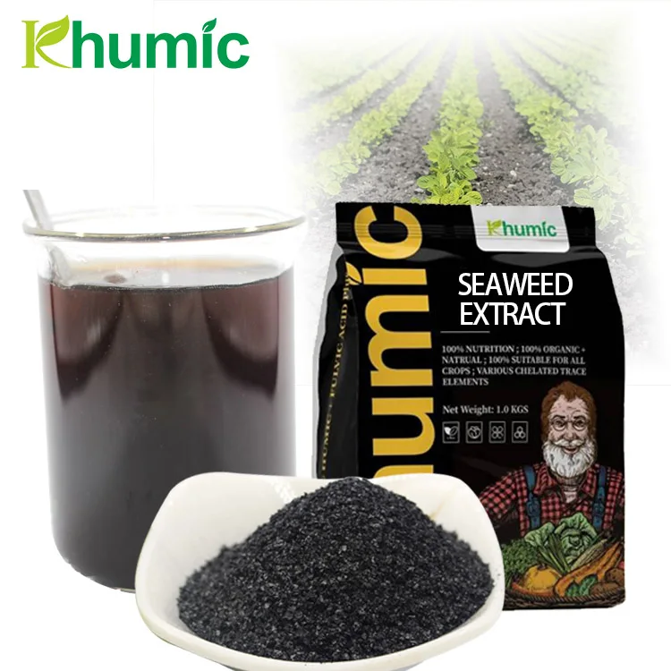 Plant root growth biostimulants 15% NPK fertilizer ascophyllum nodosum seaweed extract powder