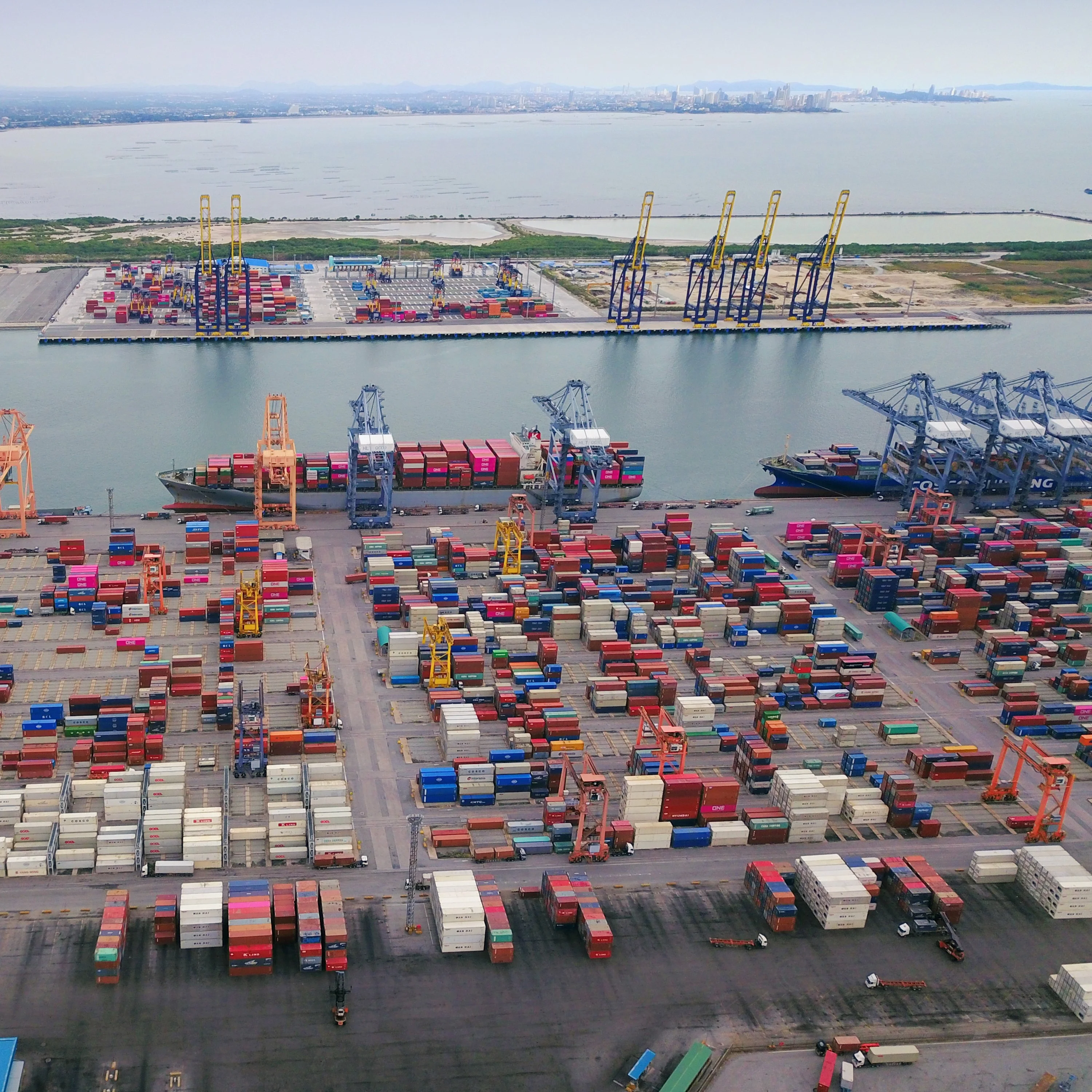 Best fast safer FCL LCL shipping agent from shenzhen to jakarta/singapore door to door shipping forwarder