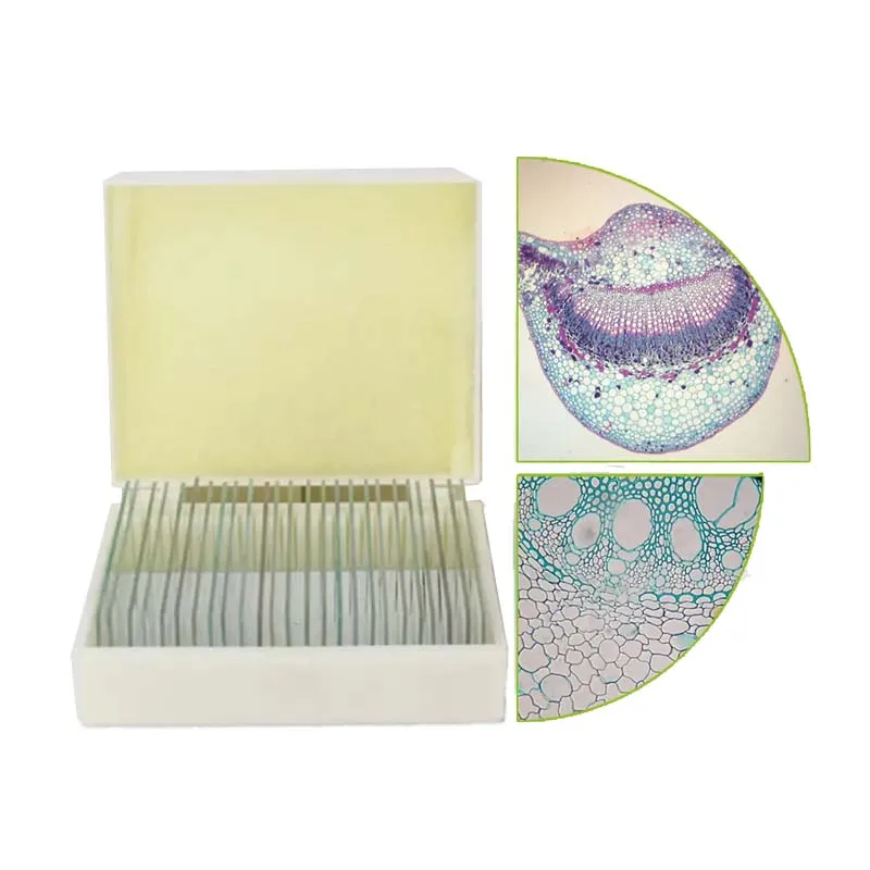 Medical Science Biology Anatomy Histology and Botany Prepared Microscope Slides 11.4*8.1*3.4cm CN;HEN YL-302 10pcs YULIN 2kgs