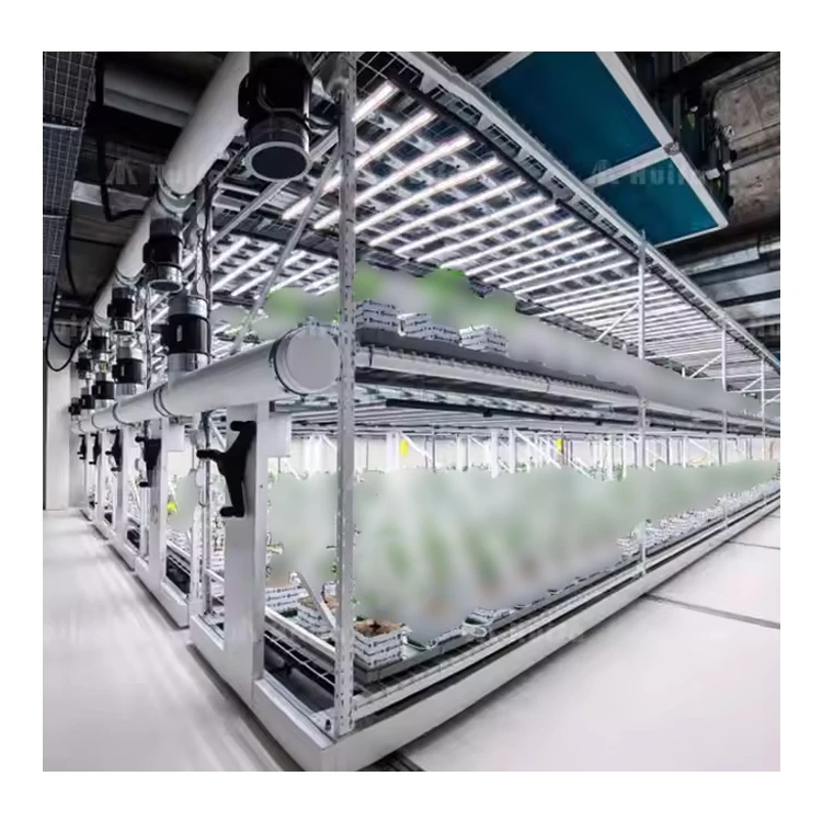 HUIFA Vertical Cultivation Turnkey Solutions Provides Lighting Irrigation And Ventilation Modular And Versatile Full Equipment