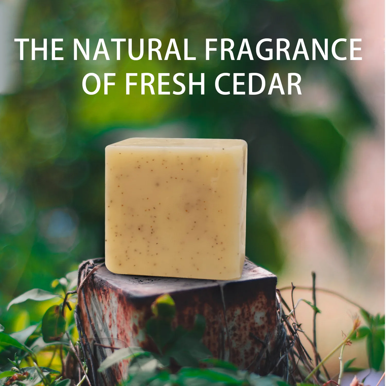 Cross Explosion Men Gulong Handmade Bath Soap Face Wash Anti-Mite Oil Control Bath Essential Oil Soap