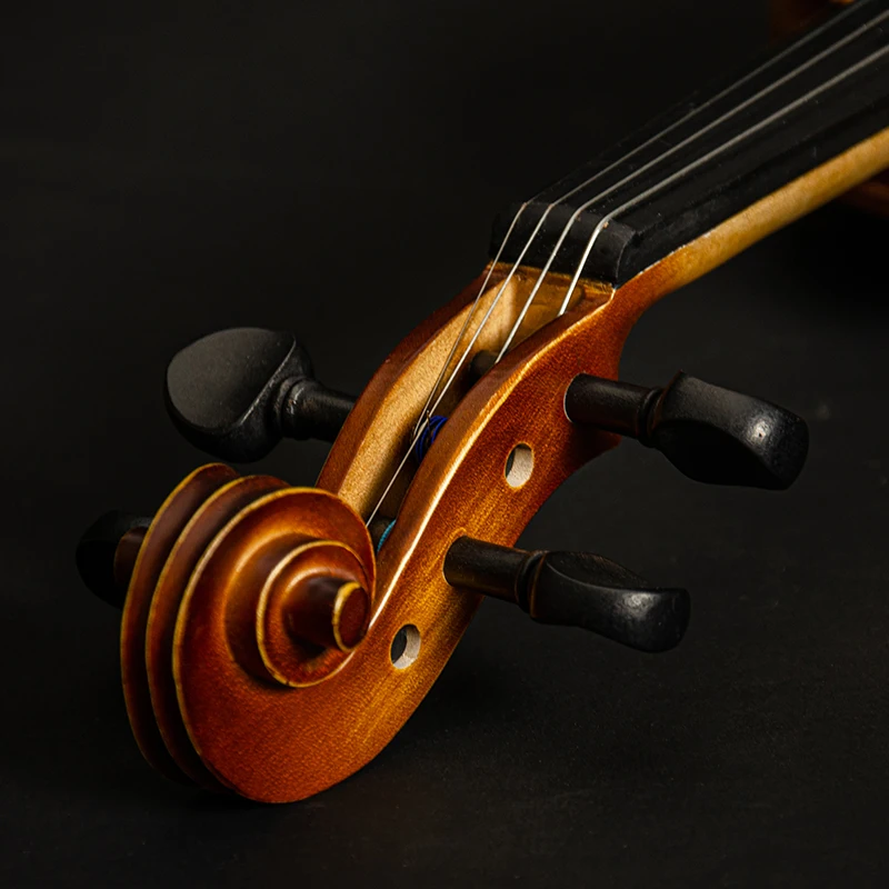 Christina V03 Handmade Solid Wood Violin Set with Case String and Wood Bow Spruce Face Maple Sides