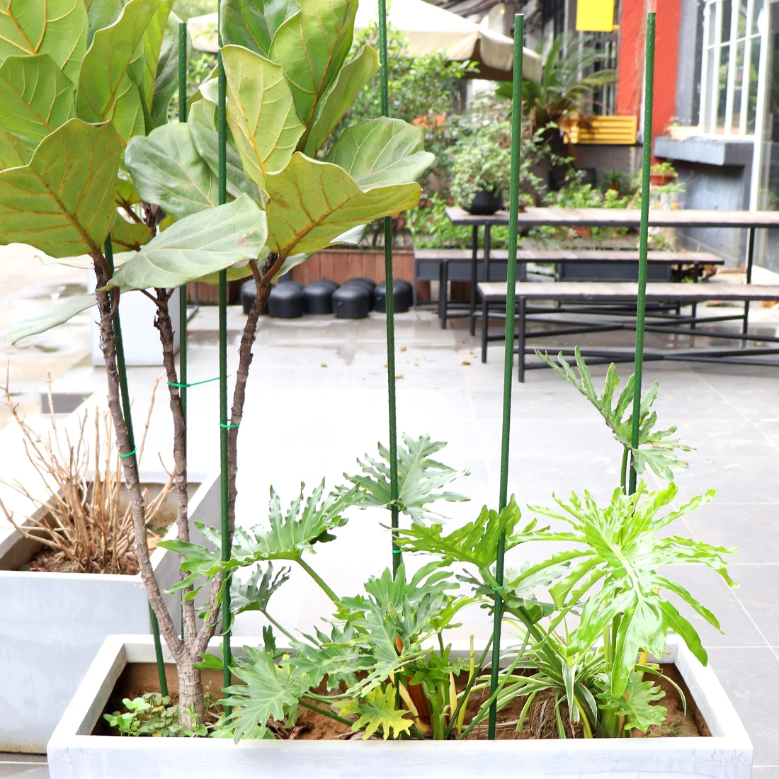 Garden Plant Climbing Stick Flower Support Stake Tomato Stand Plastic-Coated Steel Pole Agriculture Greenhouse Pillar