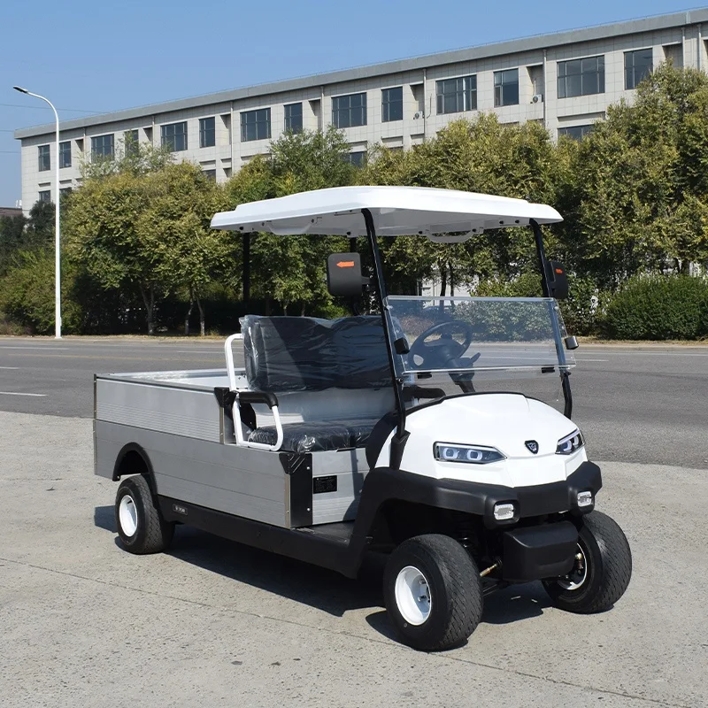 2 seater with cargo box golf cart elektrischgarten  CE approved golf utility cart Electric Resort style buggy