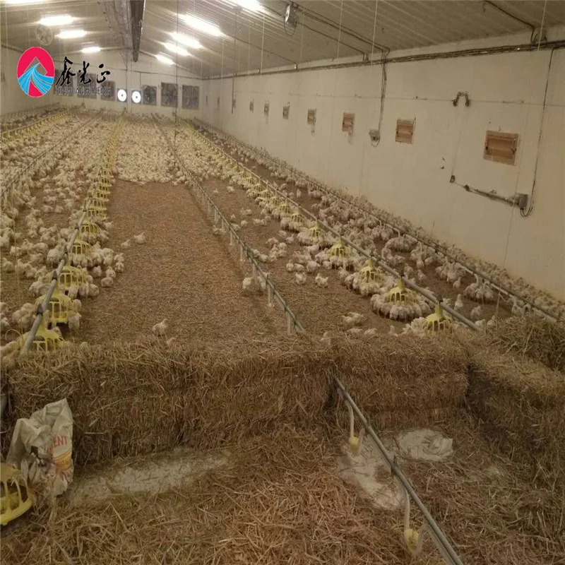 Automatic Poultry Farming System Broiler Layer Chicken Equipment Chicken Livestock Feeder Equipment Automatic Feeding 1.5 Years
