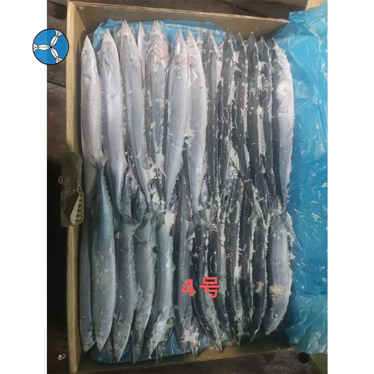 New Goods Frozen Pacific Saury SANFENG Wholesale Whole Round Pacific Saury Fish For Export