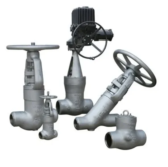 800 Class Socket Weld Forged Steel A105 F304 F316 Globe Valve