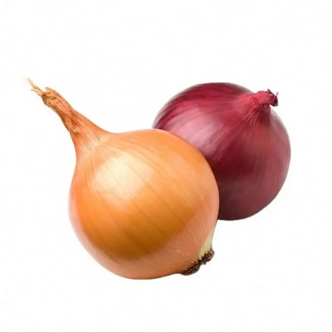 fresh onions for Export onion  or onion seeds for 1 ton price sale