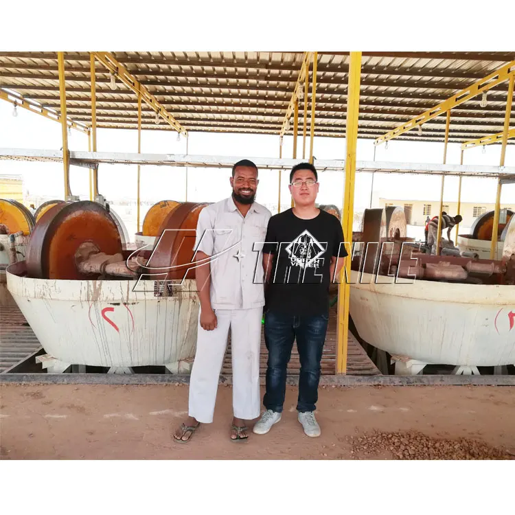 Wet Pan Mill Gold Grinding Machine Gold Grinding Mill Double Wheel Grinding Mill