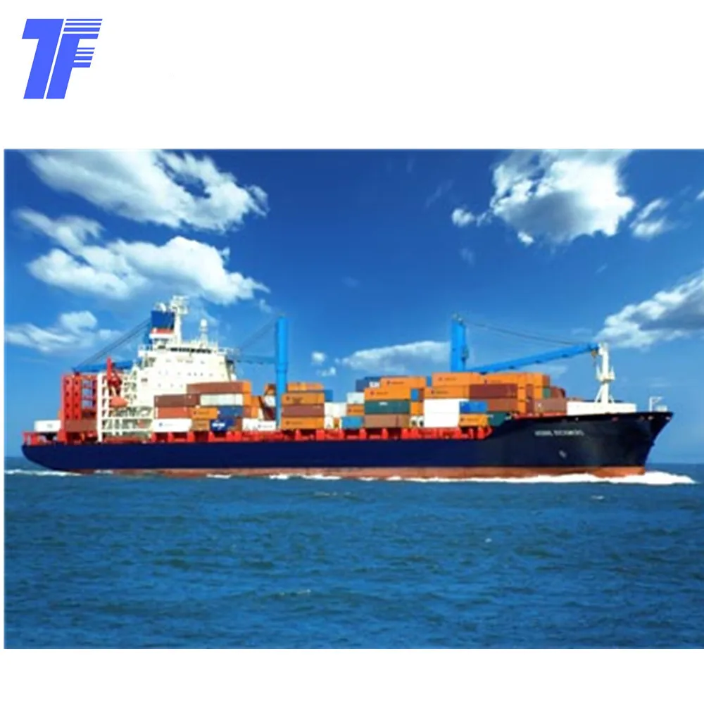 sea/air shipping with  customs clearance service DDP shipping from China to Europe/USA/Canada