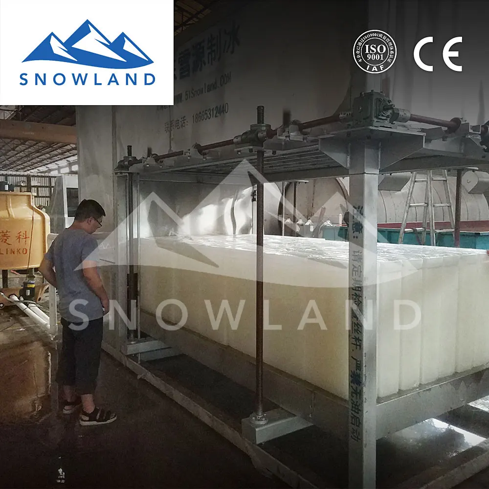 2021 SNOWLAND Opal nugget ice maker with 8 ton capacity block ice  for aquatic products