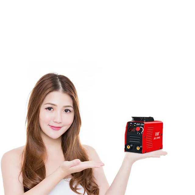 Household electric welding machine 250 small 220V mini welding machine portable copper 315 DC full set