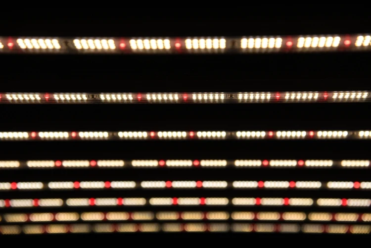 Best sellers in US vertical farming full spectrum led grow lights 1000w grow equipment