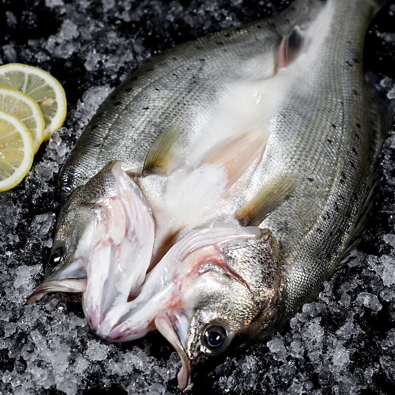 
Hidee Seafood Frozen Sea Bass Fish Aquatic Products Ocean Foods seafood Frozen Fish Tofu Curd Frozen Tilapia Fish Fillet 