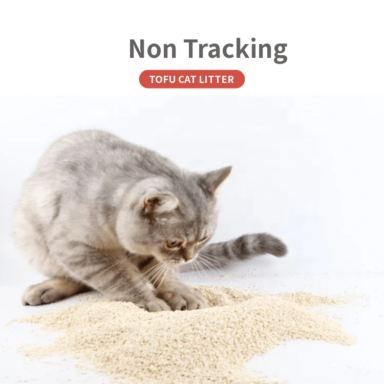 Free Sample Quickly Clumping Kind Tauhu kotoran kucing Dust Free Flushable Wheat Cat Litter Premium