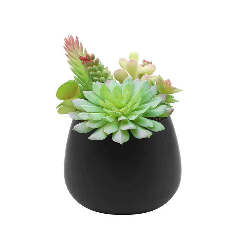 Home Garden Decorations Plastic Flower Wholesale Cute Pots Assorted Artificial Succulents With Black Pot