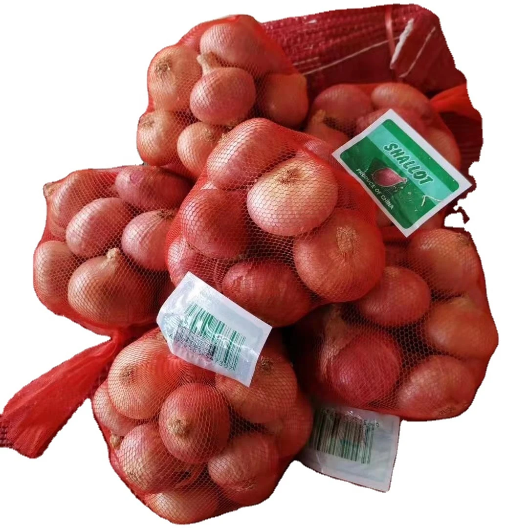 fresh shallot onion