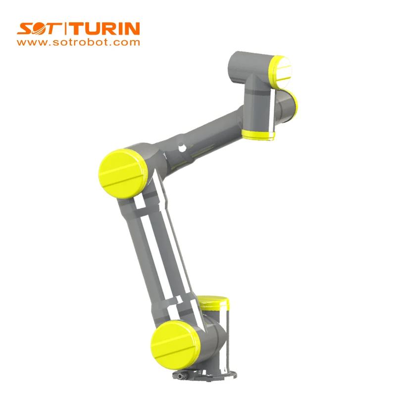 Turnkey Assembly Lines Vision Spray Painting Palletizing Medical Collaborative Robot