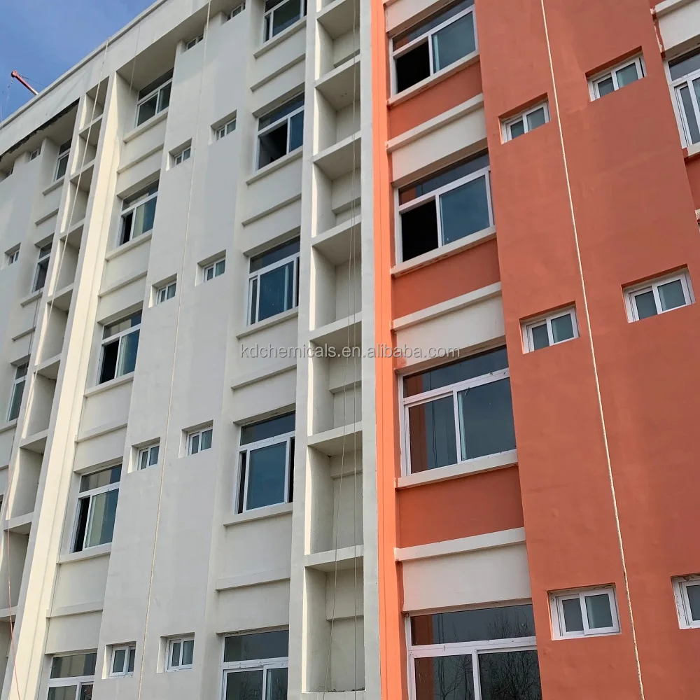 Wallputty Skim Coat Repair Mortar Tile Adhesive Tile Grou Construction Additives Redispersible Polymer Powder RDP KD6002N