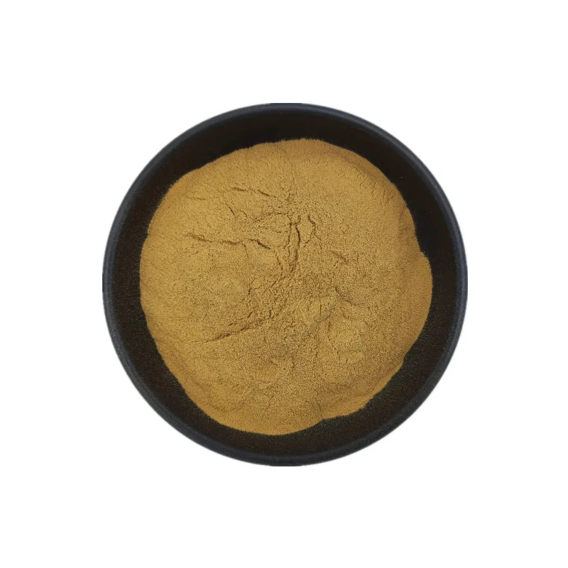 100% Natural Monkfruit Sweetener Powder Mogroside V 1% Monk Fruit Powder with 4X Sweetness To Sugar