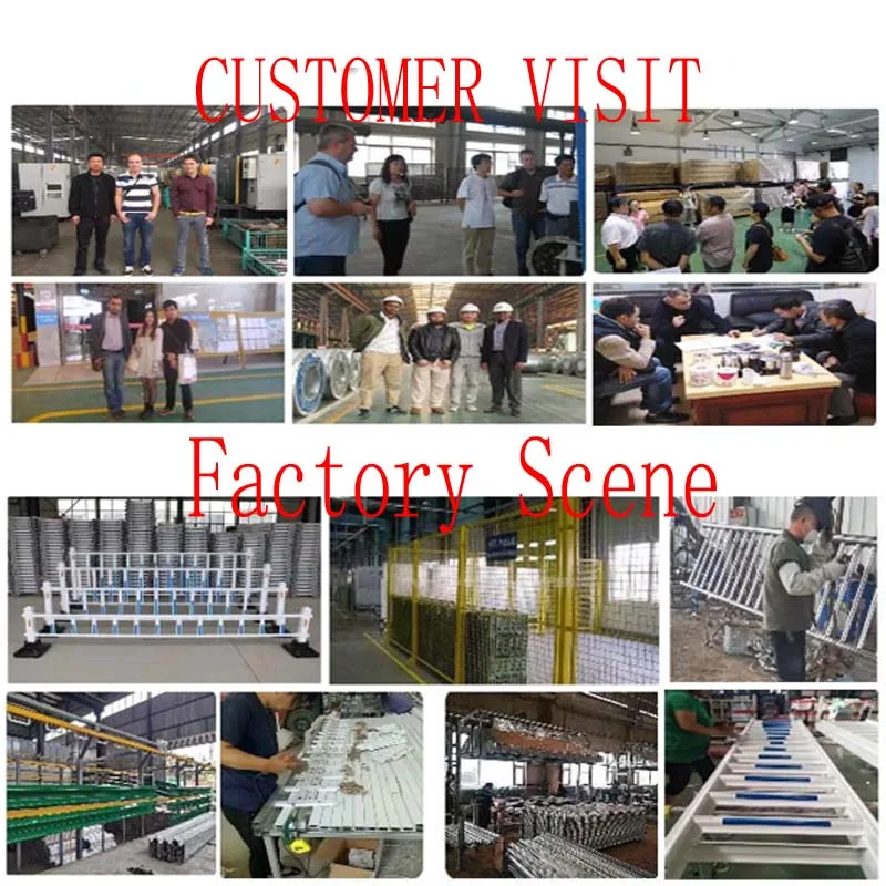 Hot dip galvanized Wire Mesh Roll breeding welding chicken rabbit cage mesh fence anti rat snake Poultry Netting Cage Fence