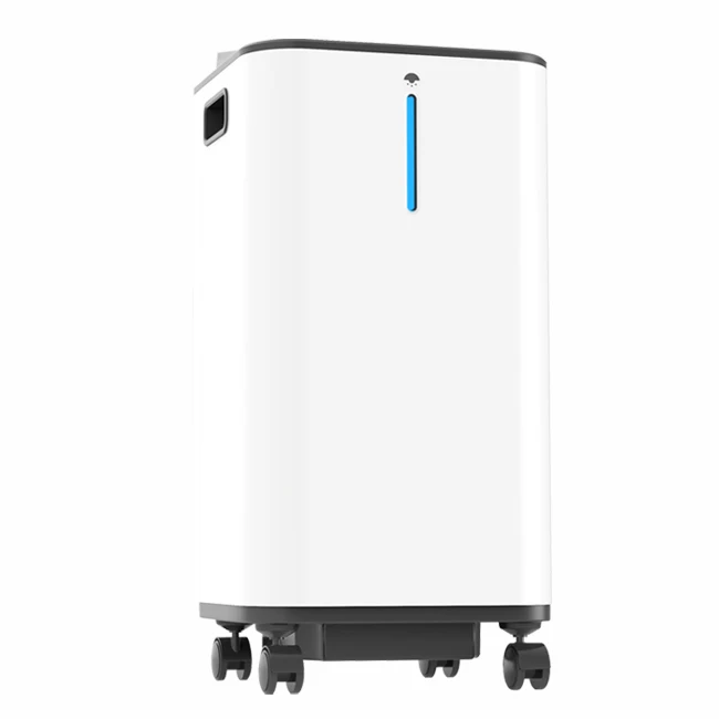 Factory price 5L Medical oxygen concentrator manufactures  oxygen generator for pet