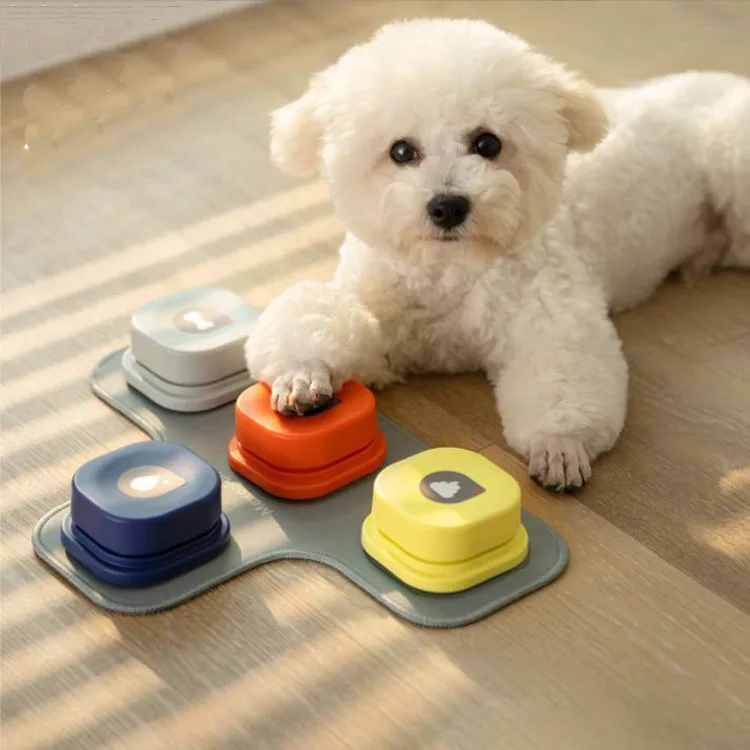 New Product Pet Dog Interactive Training Toy Sound Button Recording Sounder Toy