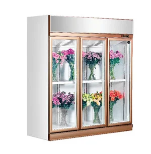 New Product Flower Refrigerator Display Cabinet Flower fridge for Flower Shop